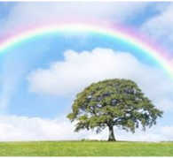 The Rainbow Light Healing System Level 1