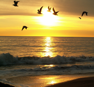 Golden Sunrise
