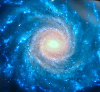 Infinity Living