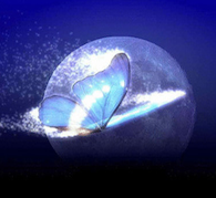 Lunar Butterfly Reiki
