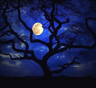 Lunar Radiance Reiki
