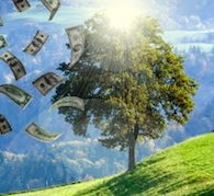 Prosperity Now Empowerment Reiki