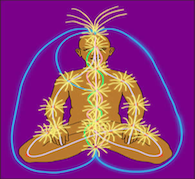 Responsive Nadi Renewal