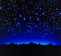 Star Energetic Charger
